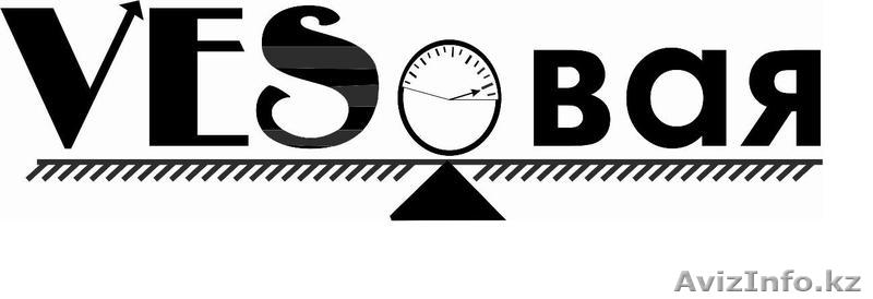 ТОО "Весовая"                 - Изображение #1, Объявление #110053