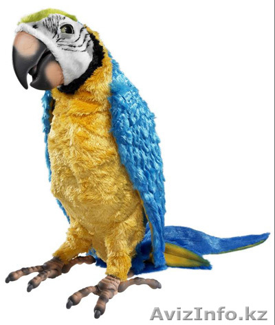 Интерактивный Попугай Кеша - Изображение #1, Объявление #122420