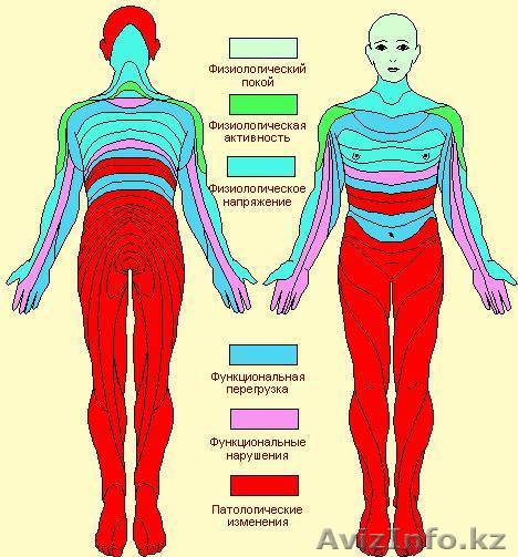 Диагностика РУНО - Изображение #1, Объявление #234058