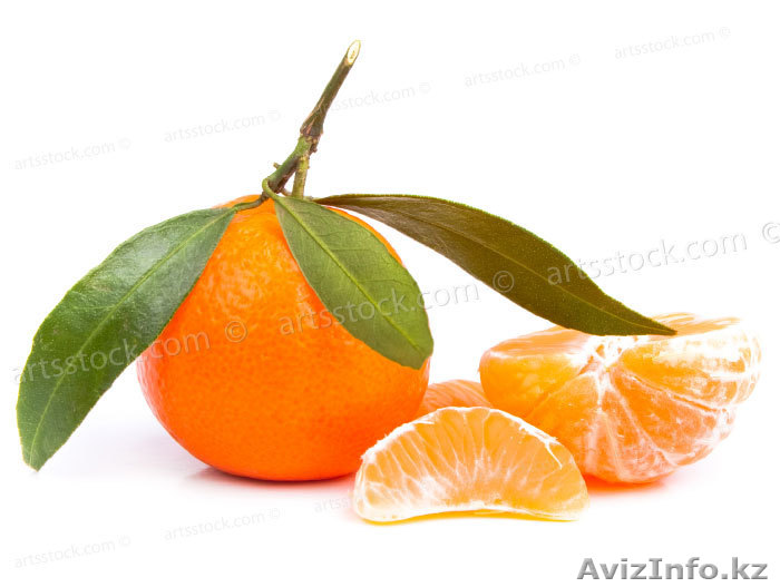 Продаем мандарины из Грузии  урожай 2011 года - Изображение #1, Объявление #450135