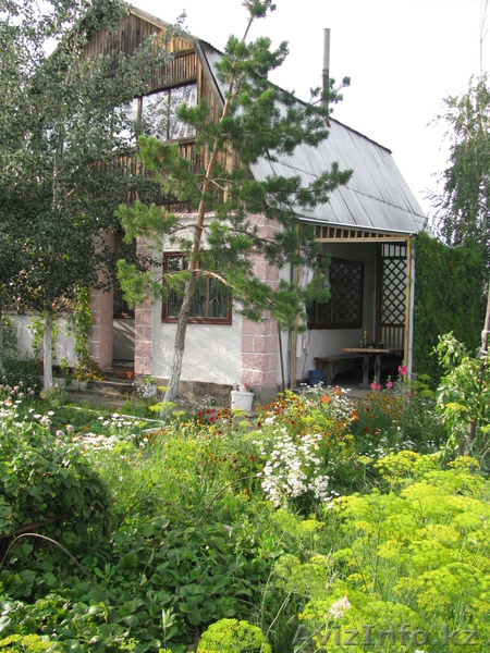 Продаётся дача в обществе Дзержинец (Михайловка) - Изображение #1, Объявление #626843