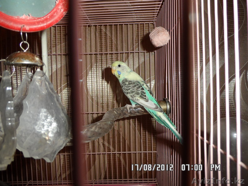 Караганда Майкудук   14 микрараюн                     - Изображение #1, Объявление #740550