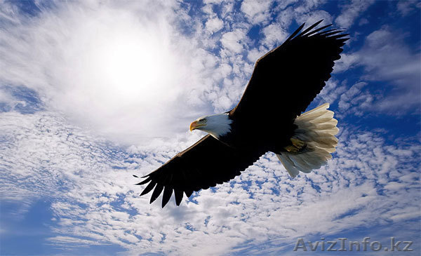 Менеджер - супервайзер в Караганде - Изображение #1, Объявление #843669