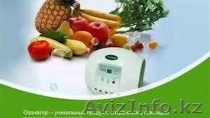 Озонатор - прибор для очистки воздуха, воды и продуктов питания. - Изображение #1, Объявление #903872