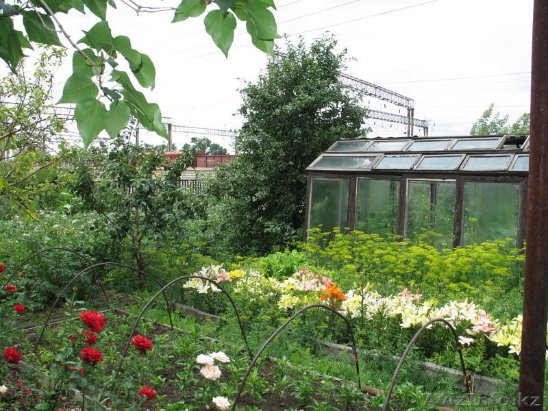 дом  с участком 35 соток - Изображение #1, Объявление #1048090