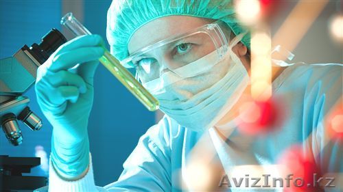 Установление отцовства, генетическая экспертиза - Изображение #1, Объявление #1070321