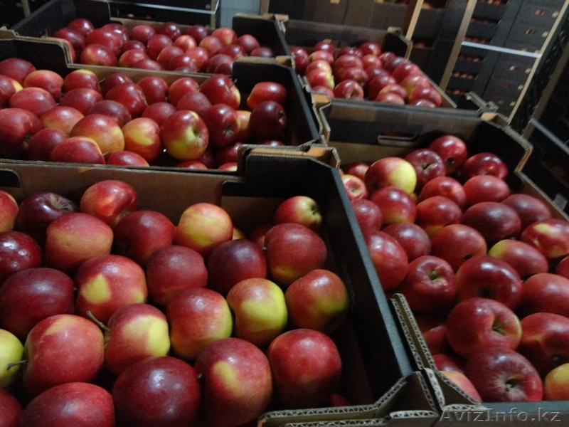 AL-DA Sp.J  Alicja Leszko,Dariusz Basiak - Изображение #1, Объявление #1082502