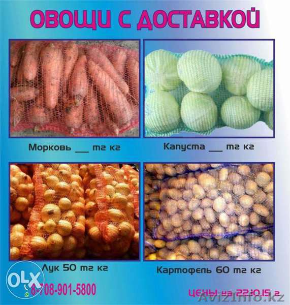 услуги по доставке овощей - Изображение #1, Объявление #1336570
