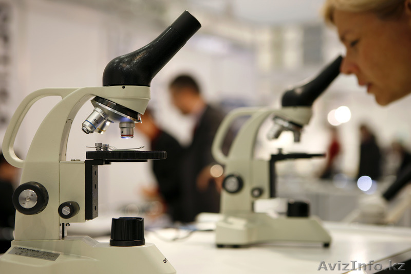 Учебное оборудование "Кабинет биологии" - Изображение #1, Объявление #1353396