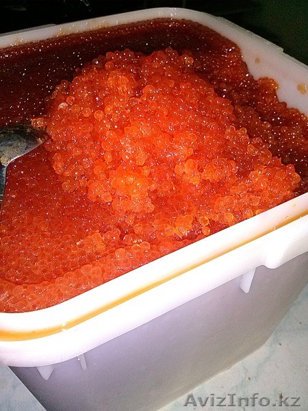 Икра красная оптом от 3400р/кг Путина 2017г. - Изображение #1, Объявление #1423233