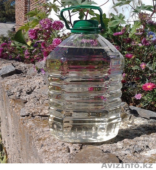 Пихтовое масло          - Изображение #1, Объявление #1485513