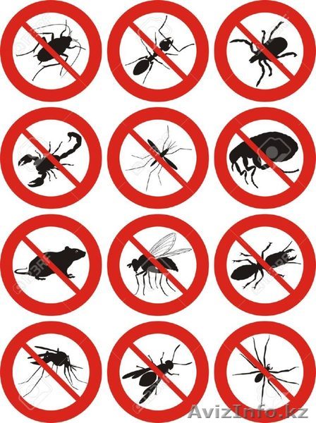  Дезинcекция и дератизация Караганда - Изображение #1, Объявление #1561282