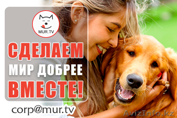 Информационная поддержка - Изображение #1, Объявление #1623298