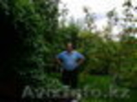 Продаётся катедж - Изображение #2, Объявление #1962