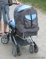 Коляску "Браво" - Изображение #2, Объявление #54069