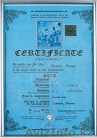 звездный потолок - Изображение #1, Объявление #73369