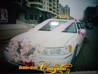 Праздничное оформление свадебных торжеств - Изображение #2, Объявление #61142