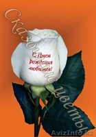 Продам Наклейки для цветов и подарочных аксессуаров! - Изображение #1, Объявление #180573