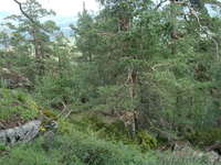 Продам квартиру в курортной зоне поселка Щучинский - Изображение #8, Объявление #347653