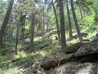 Продам квартиру в курортной зоне поселка Щучинский - Изображение #10, Объявление #347653