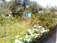 продаю дом 20 соток - Изображение #3, Объявление #351994