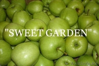 Наиболее хорошие яблоки из Польши - очень большой опт !!! - Изображение #2, Объявление #377411