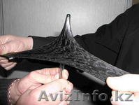 жидкая резина,гидроизоляция,кровля - Изображение #2, Объявление #394688