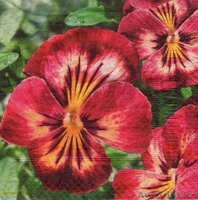 Салфетки для декупажа! - Изображение #1, Объявление #428733