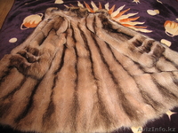 Продам шубу (енот) и шапку (писец) - Изображение #1, Объявление #440817