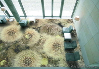 ЕвроСтройРемонт - Изображение #3, Объявление #524557