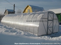 Парники и теплицы - Изображение #2, Объявление #256288