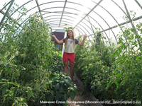 Парники и теплицы - Изображение #3, Объявление #256288