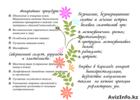 Кабинет физиотерапии "StyleMed" - Изображение #1, Объявление #660381