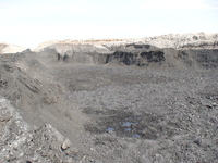 Продам уголь по выгодной цене - Изображение #3, Объявление #739073