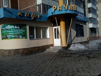 Действующее Кафе с леткой! - Изображение #2, Объявление #864195