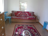 Продам дачу в обществе "Машиностроитель" - Изображение #4, Объявление #887360