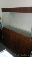Продам аквариум + тумба - Изображение #2, Объявление #937433