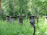 Продам натуральный Башкирский мед - Изображение #3, Объявление #806705