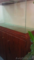 Продам аквариум + тумба - Изображение #7, Объявление #937433
