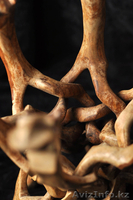 Необычная старинная складная изделие из высококачественного дерева - Изображение #7, Объявление #1163913