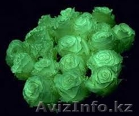 Сделай жизнь ярче! - Изображение #1, Объявление #1211746