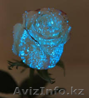 Сделай жизнь ярче! - Изображение #4, Объявление #1211746