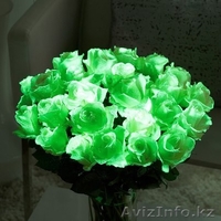 "Цветочный ветер" - Изображение #2, Объявление #1223686