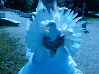 Голуби на Торжество,Выпускной,Свадьбу!!! - Изображение #1, Объявление #1220637