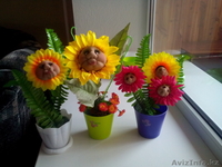 прикольные цветочки - Изображение #3, Объявление #1216522