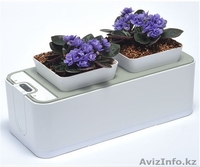 Горшок для цветов умный! - Изображение #1, Объявление #1230425