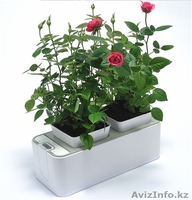 Горшок для цветов умный! - Изображение #3, Объявление #1230425