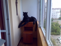 Продам квартиру с евроремонтом за 68000$ - Изображение #2, Объявление #1290688