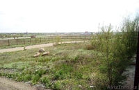 Сдается в аренду производственно-складское здание, 1200кв.м. Караганда - Изображение #5, Объявление #1296356