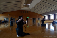 Академия Боевых Искусств (ММА, Греплинг, Джиу Джитсу, Иайдо, и др.) - Изображение #2, Объявление #1311547